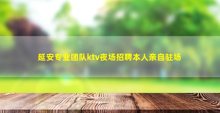 延安专业团队ktv夜场招聘本人亲自驻场
